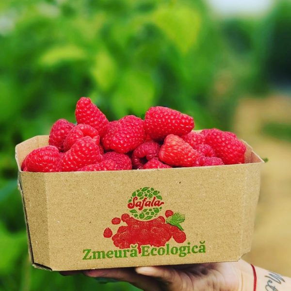 inbound6183771733318297680