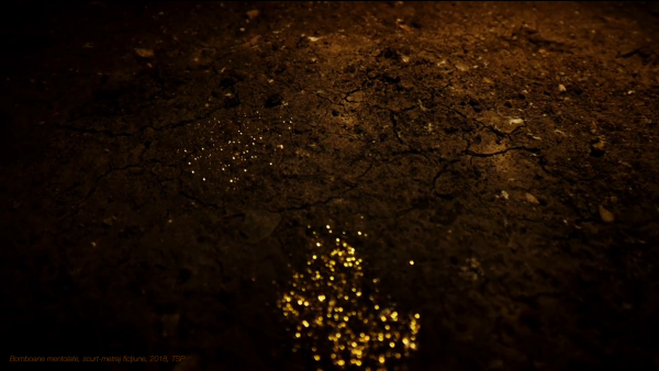 FullSizeRender copy5