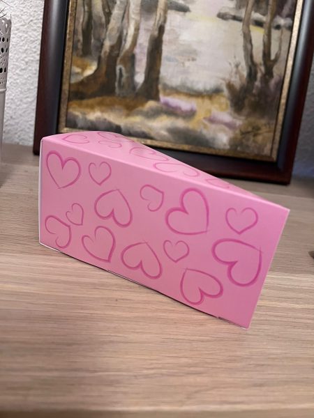 WhatsApp Image 2024 01 30 at 7.07.09 PM