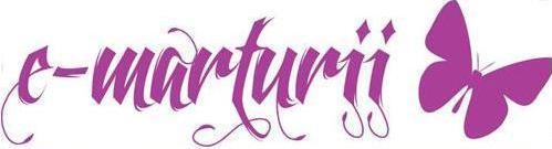 Aurora Rizea: A fi productivă înseamnă să reușesc să îmi ating obiectivele și să îmi îndeplinesc responsabilitățile într-un mod eficient și eficace 12 logo jpg 0 1