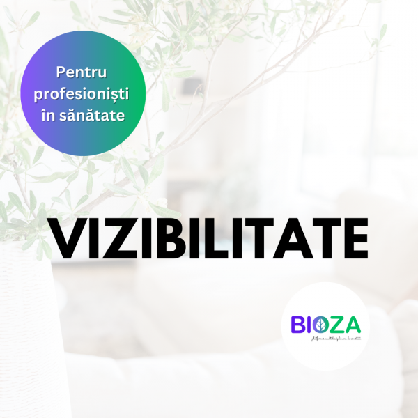 Imagine WEB PACHET VIZIBILITATE 3