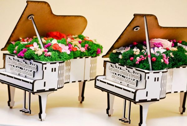 inbound4549535049590127402