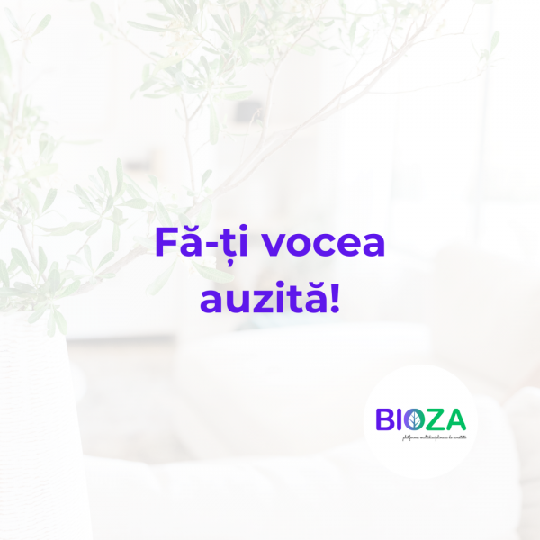 Imagine WEB PACHET VIZIBILITATE 21