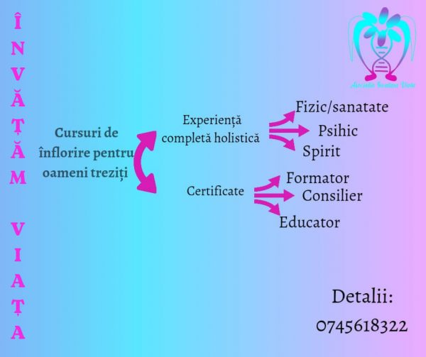 Cursurile asociatiei