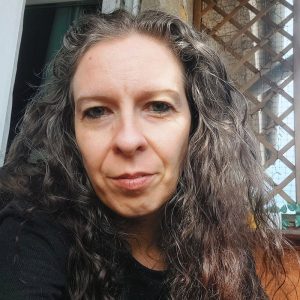 TRUA TRANSYLVANIA - Irina Grădinaru - Lemnul, între tradițional și modern 9 Poza-coperta