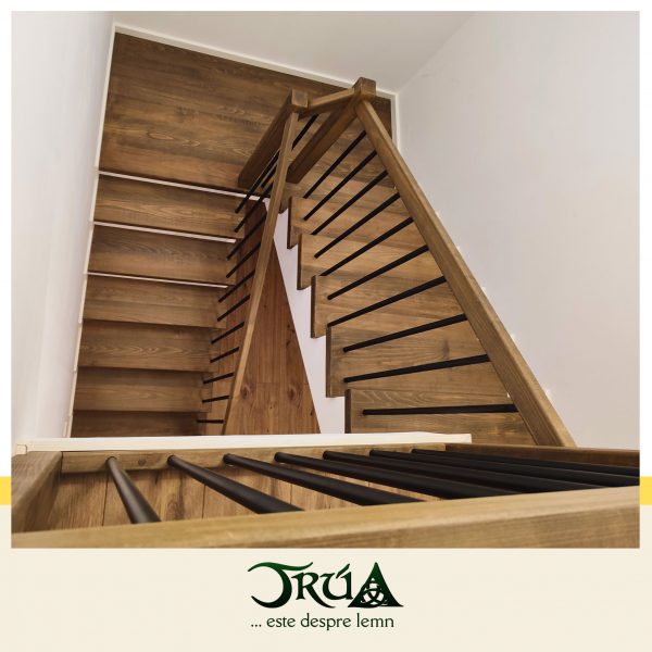 scara pe structura lemn fag 2