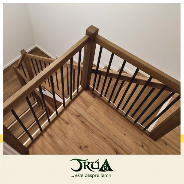 scara pe structura lemn fag 3