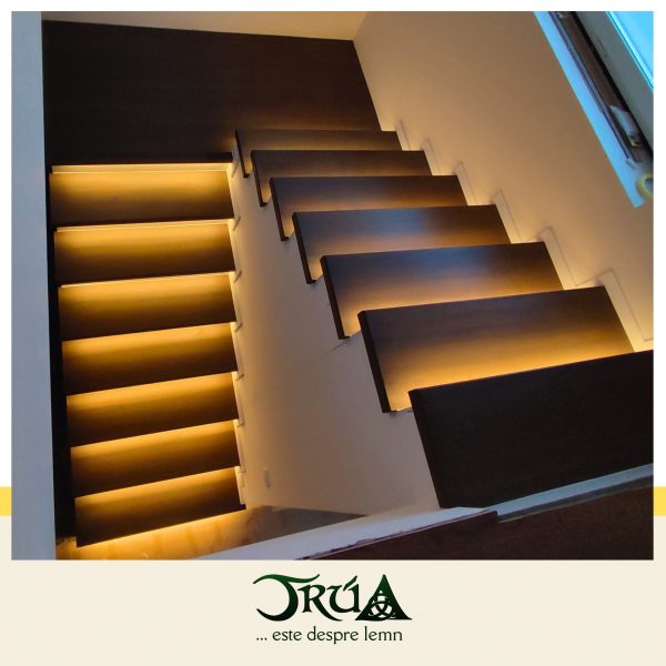 scara pe structura lemn fag 7