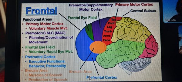 inbound4734334678123059127