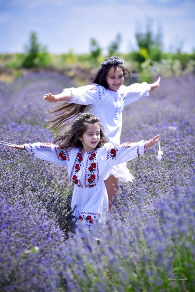 20250629 Povestea iei in lavanda 179 1