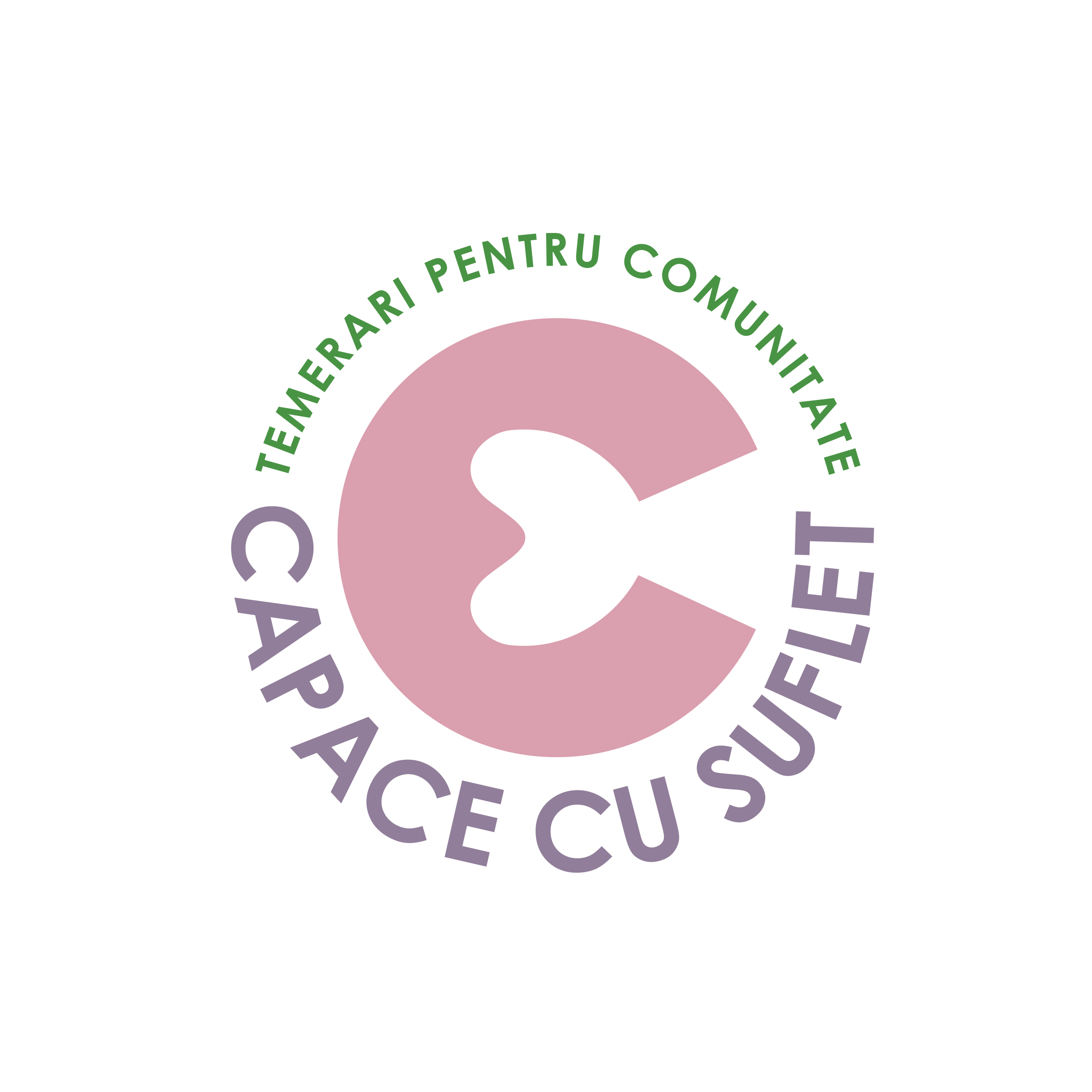 CCS LOGO 1